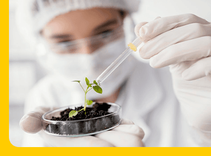 Pesquisadora em laboratório com uma plântula