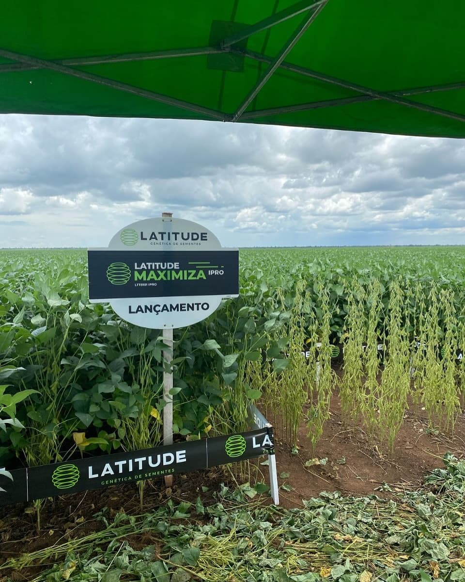Latitude em campo — foto 1
