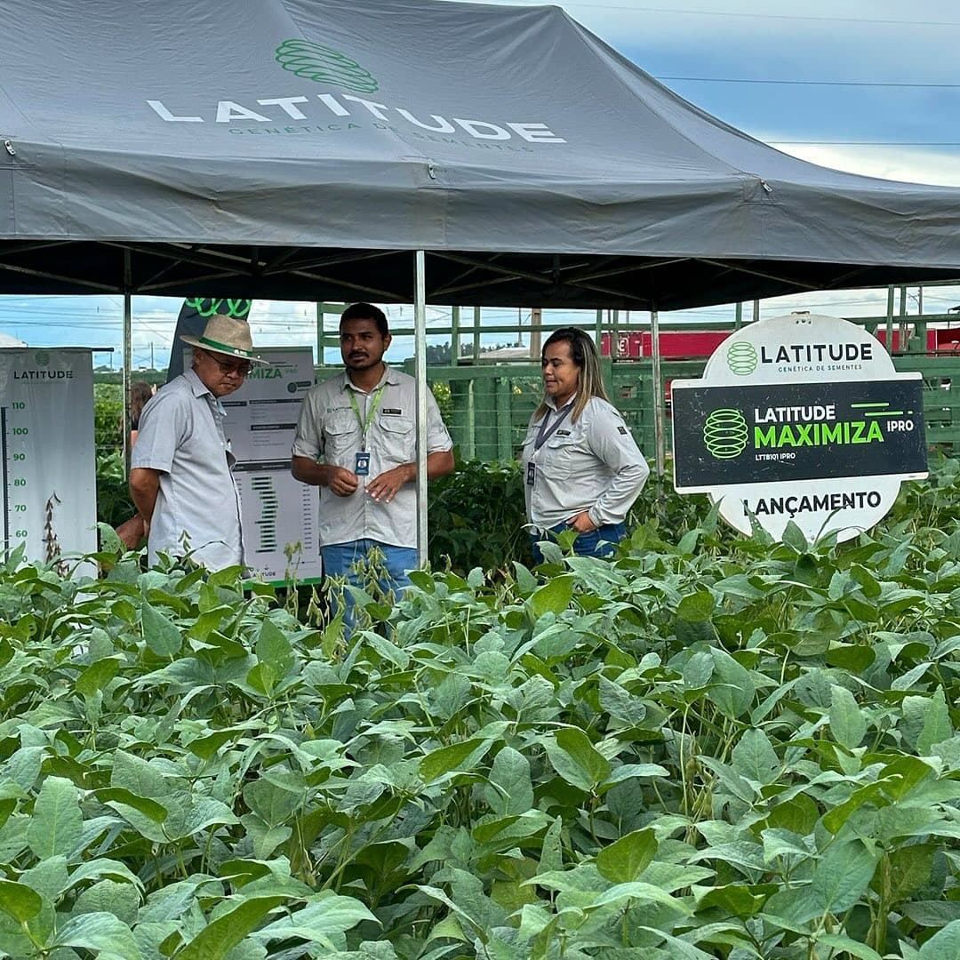 Latitude em campo — foto 3